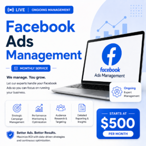 Facebook Ads Campaign Management (Monthly)