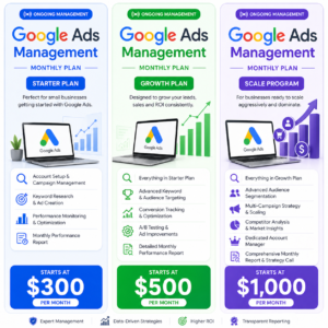 Google Ads Campaign Management (Monthly)